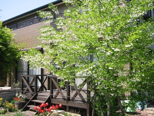 e382a8e382b4e3838ee382ad