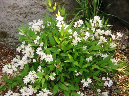 e38392e383a1e382a6e38384e382ae e38392e383a1e382a6e38384e382ae