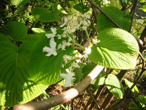 e383a0e382b7e382abe383aa e383a0e382b7e382abe383aa