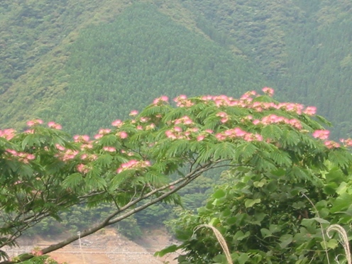 e3838de383a0e3838ee382ad