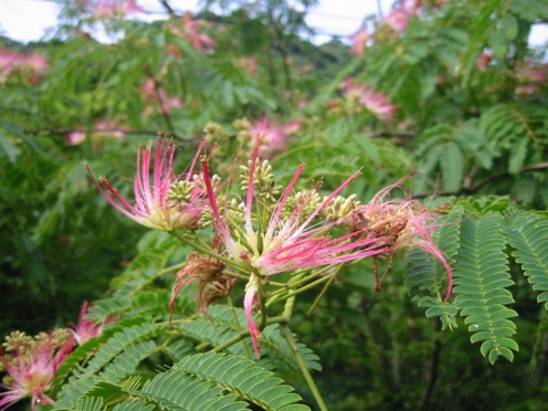 e3838de383a0e3838ee382ade88ab1