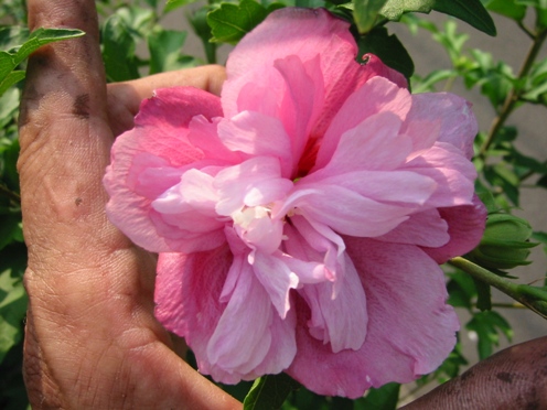 e383a0e382afe382b2e381afe381aae8b5a4 e383a0e382afe382b2e381afe381aae8b5a4