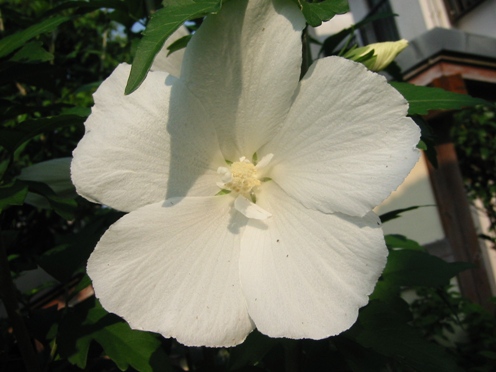 e383a0e382afe382b2e88ab1 e383a0e382afe382b2e88ab1