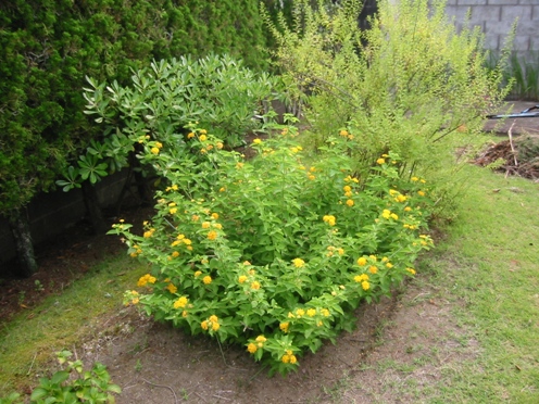 e383a9e383b3e382bfe3838a