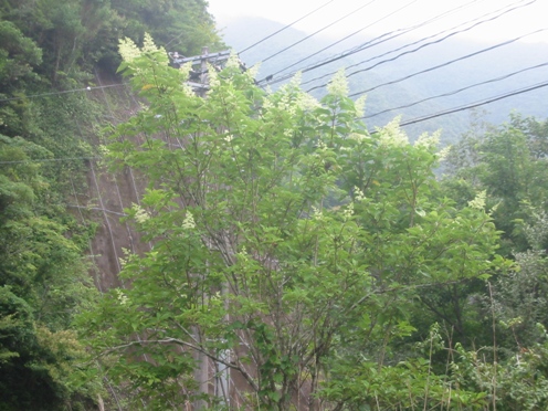 e3838ee383aae382a6e38384e382ae