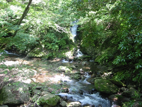 e382a4e3838ce38393e383af e382a4e3838ce38393e383af