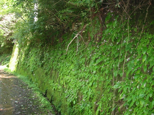 e382a4e383afe382bfe38390e382b3