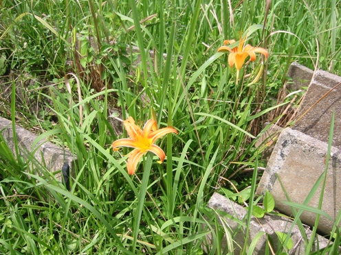 e3838ee382abe383b3e382bee382a6 e3838ee382abe383b3e382bee382a6