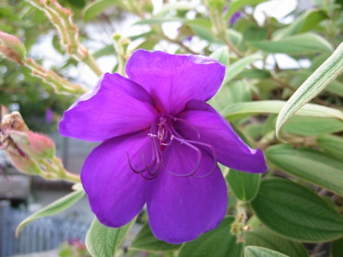 e3838ee3839ce382bfe383b3e88ab1 e3838ee3839ce382bfe383b3e88ab1