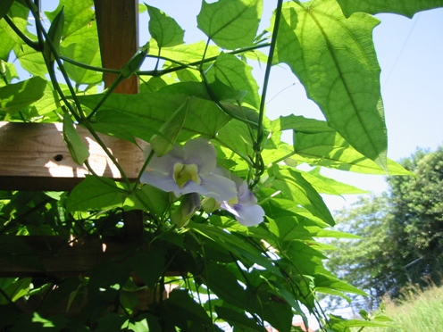 e38399e383b3e382ace383abe383a4e3838fe382bae382abe382b9e383a9 e38399e383b3e382ace383abe383a4e3838fe382bae382abe382b9e383a9