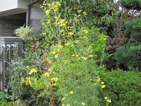 e382a6e382a4e383b3e382bfe383bce382b3e382b9e383a2e382b9 e382a6e382a4e383b3e382bfe383bce382b3e382b9e383a2e382b9