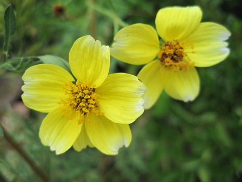 e382a6e382a4e383b3e382bfe383bce382b3e382b9e383a2e382b9e88ab1 e382a6e382a4e383b3e382bfe383bce382b3e382b9e383a2e382b9e88ab1