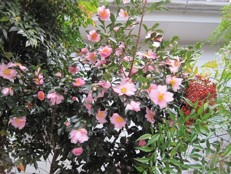 e38195e38196e38293e3818b e38195e38196e38293e3818b