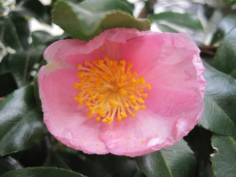 e38195e38196e38293e3818be88ab1 e38195e38196e38293e3818be88ab1