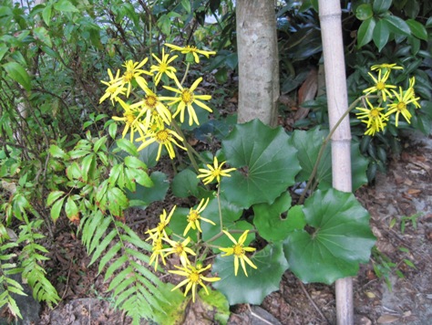 e38384e383afe38396e382ad