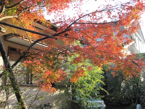 e383a4e3839ee383a2e3839fe382b8