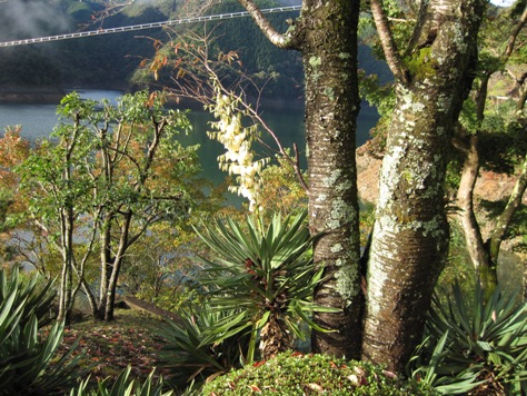 e383aae383a5e382a6e382bce38384e383a9e383b3