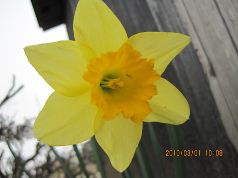 e382b9e382a4e6a093e88ab11