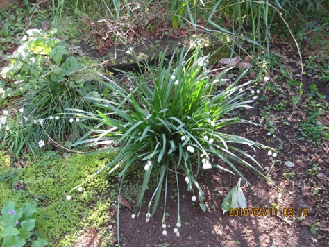 e382b9e3838ee383bce38395e383ace383bce382af