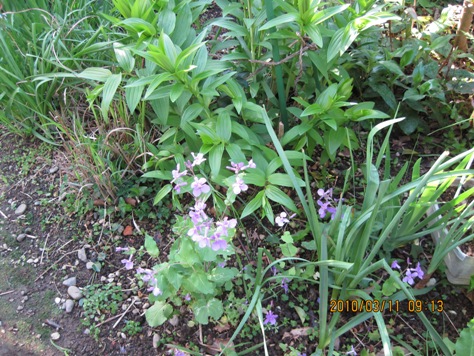 e3838fe3838ae38380e382a4e382b3e383b3