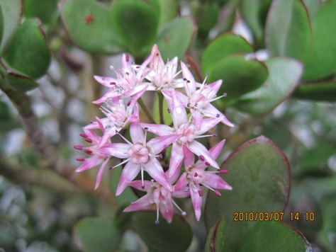 e98791e381aee381aae3828be88ab1