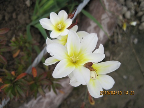 e381afe381aae38197e3828d