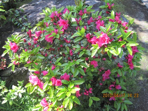 e382a2e382bce383aae382a2