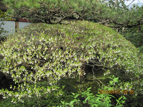 e38389e382a6e38380e383b3e38384e38384e382b8