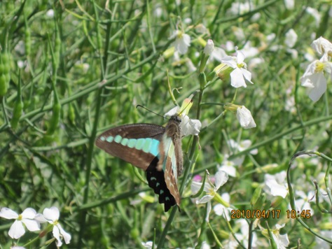 e382a2e382aae382b9e382b8e382a2e382b2e3838f