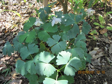 e382aae38380e3839ee382ad