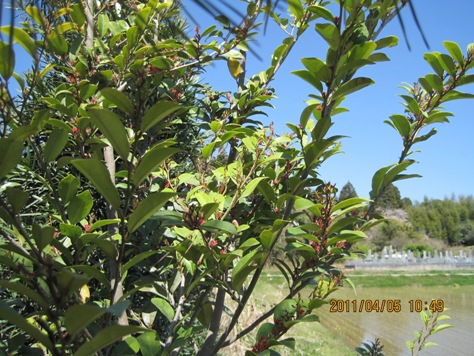 e382a4e382b9e3838ee382ad e382a4e382b9e3838ee382ad