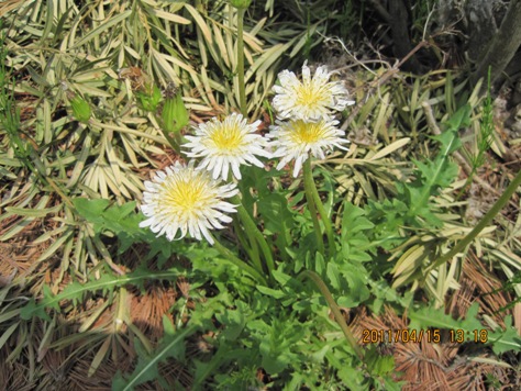 e382bfe383b3e3839de3839de382b7e383ad