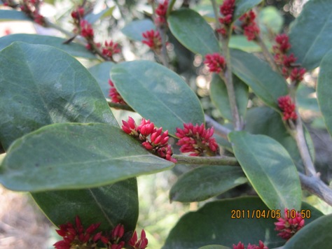 e794bbe5838f-1867 e794bbe5838f-1867