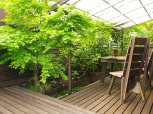 e38387e38383e382ade3818be382892