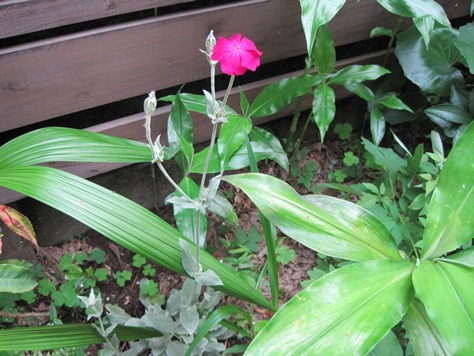 ???????????????????????????????