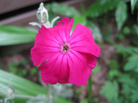 ???????????????????????????????