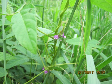 ???????????????????????????????