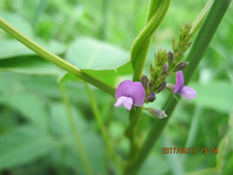 ???????????????????????????????