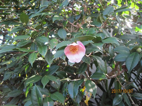 ???????????????????????????????