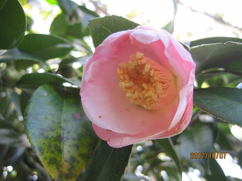 ???????????????????????????????