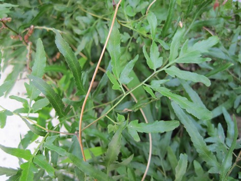 ???????????????????????????????