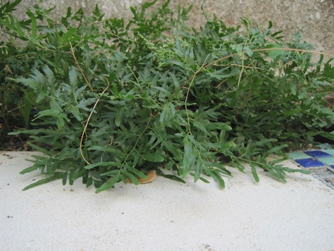 ???????????????????????????????